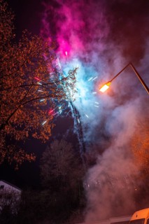 Colourful fireworks explode over a tree and illuminate the night sky, Stuttgart Birkach, Germany,