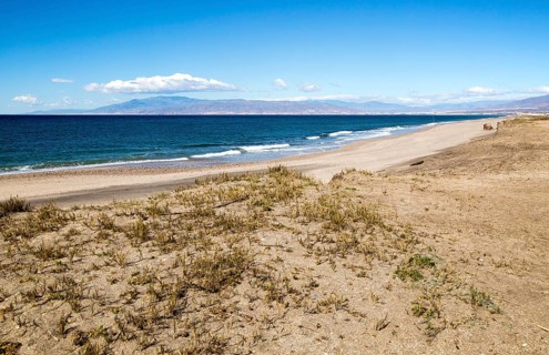 Sandy beach Cabo de Gata, La Almadraba de Monteleva, Nijar, Almeria, Spain, Europe