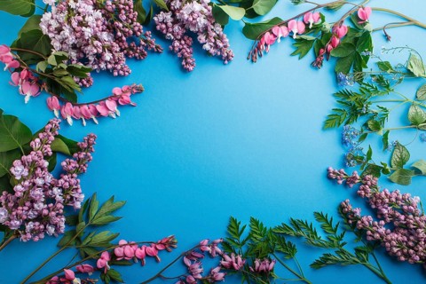 Purple lilac and bleeding heart flowers on pastel blue background. Morninig, spring, fashion