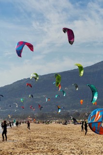 Coastline, countless kitesurfers, hotspot for surfers, Tarifa Beach, Tarifa, Cadiz, Costa de la