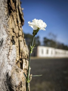 Ravensbrück Memorial in Fürstenberg. Former concentration camp for woman during the National
