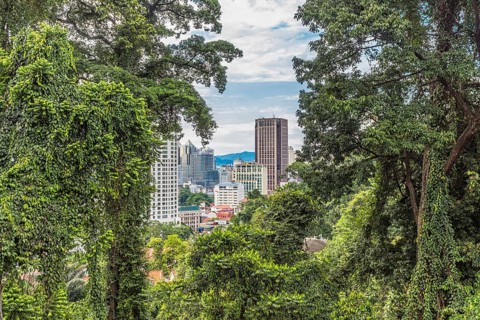 A modern city surrounded by jungle, kuala lumpur, Malaysia, Asia