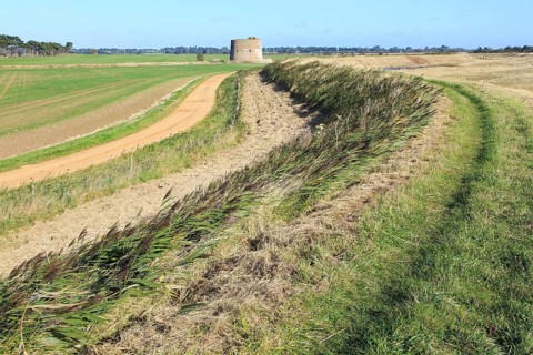 Flood defence sea wall dyke view north to Shingle Street, Alderton, Suffolk, England, UK