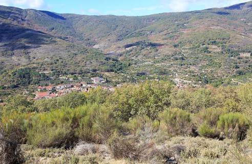 Looking down on rooftops of nucleated village Garganta la Olla, La Vera, Extremadura, Spain, Europe