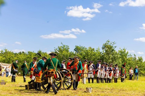 The Great Encampment near Mühlberg, also known as the Lustlager von Zeithain, was a grandiose troop