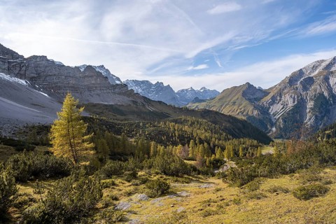 Mountain panorama with steep rocky peaks, yellow-coloured larches in autumn, view of Laliderspitze,