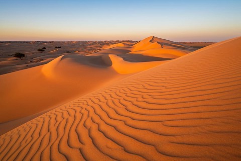 Sand dunes in the desert, near Duqm, Oman, Asia