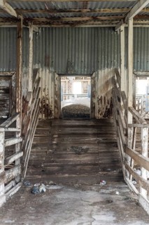 Ramp to the outside for shorn sheep, Estancia San Gregorio, Puente Alto, Metropolitan Region,