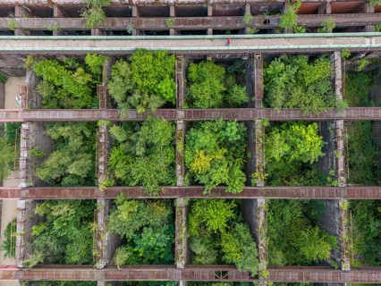 Duisburg-Nord Landscape Park, former Thyssen steelworks, closed in 1985, since then trees have been