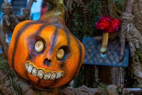 Decoration with pumpkin, Halloween, festival, custom, american, celebration, scary, childhood,