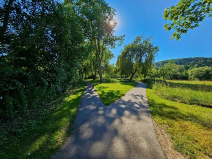 Fork in the road surrounded by meadow and trees under a clear blue sky, summer, Bürgstadt,