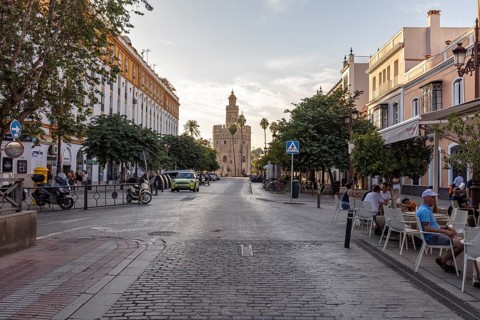 Street scene at sunset with cafés, lined with trees and buildings, Seville