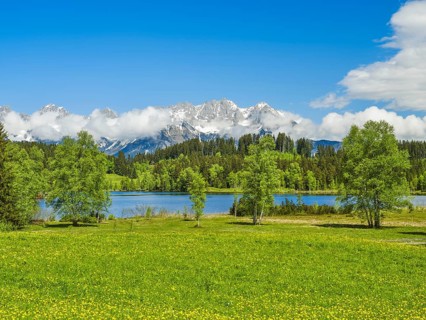 Wilder Kaiser with Schwarzsee, Moorsee, trees, blue sky Kitzbühel, Tyrol, Austria, Europe