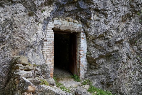 A stone entrance carved into a rock face, surrounded by natural surroundings, Large old trees, wild