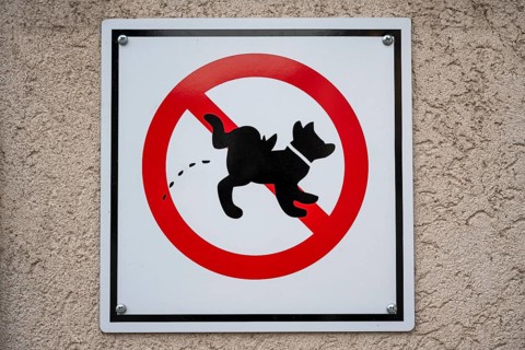 Prohibition sign on a house wall with pictogram of a urinating dog