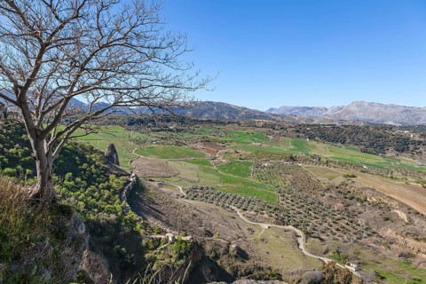 Serranía de Ronda, Ronda, Andalusia, Spain, Europe