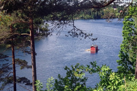 A tranquil scene by a lake with a red cabin in the water surrounded by dense green trees in the