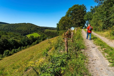 Hiking in the Sauerland, trail near Oberkirchen, district of Schmallenberg, North Rhine-Westphalia,