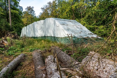 Trees are wrapped in foil, experiment of the Arnsberg Forest Training and Experimental Forestry