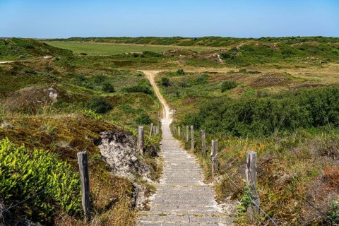 North Sea island Langeoog, early summer, dune landscape in the centre of the island, view from the