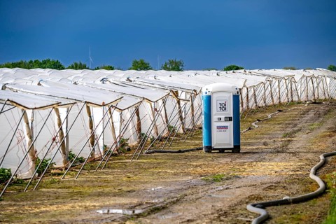 Agriculture, large areas with foil tunnel, for the cultivation of strawberries, south of Lövenich,