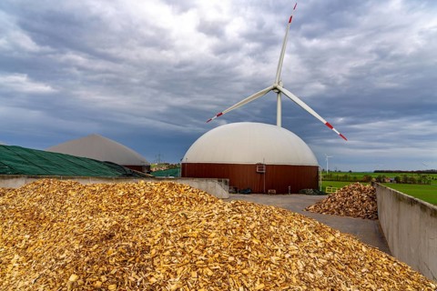 Biogas plant produces gas from various biomass, here the sugar beet storage, the electricity is