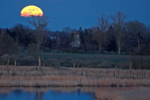 A full moon rises over a tranquil landscape with trees and a reflecting body of water, view of the