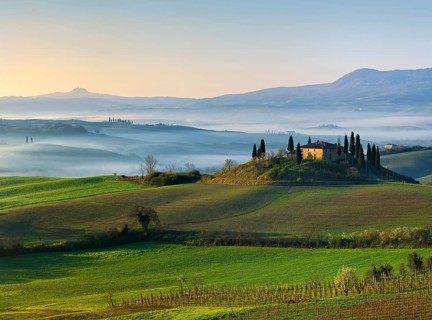 View over vineyard to Podere Belvedere surrounded by cypresses, morning mist in Val d'Orcia, UNESCO