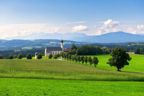 Pilgrimage church of St Marinus and Anian in Wilparting, cornfield, avenue, municipality of
