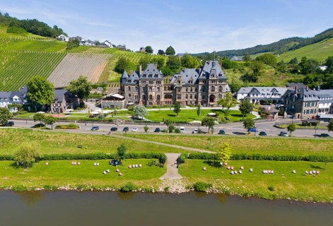 Historic castle surrounded by vineyards and river landscape on a sunny day, aerial view, Lieser
