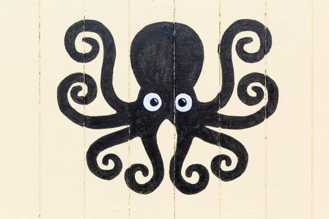 Octopus picture painted on side of wooden seaside beach hut, Felixstowe, Suffolk, England, UK