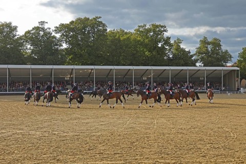 Warendorf State Stud, Stallion Parade, Jacobowski Quadrille