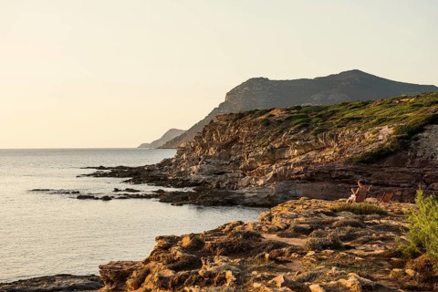 Coast with steep cliffs, sunset, Capo Caccia, near Alghero, Sardinia, Italy, Europe
