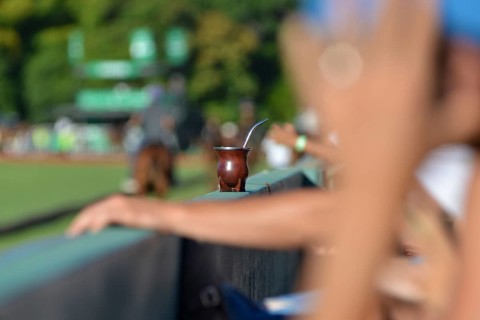 Mate or mate tea, the national drink of Argentina, in a traditional calabash with a bombilla, at a