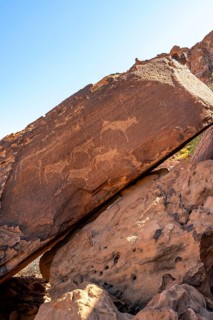 Depictions of animals on a rock slab, petroglyphs, rock engravings, Twyfelfontein, Kunene, Namibia,