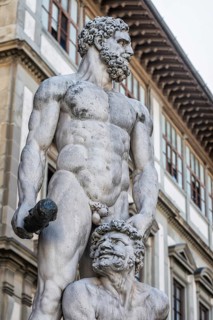 Statue of Hercules and Cacus, sculpture, art, Renaissance, tourist attraction, monument, sculpture,