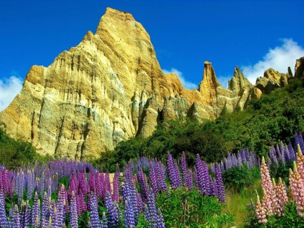 New Zealand, Pinnacles and lupins, Abel Tasman National Park, New Zealand, Oceania