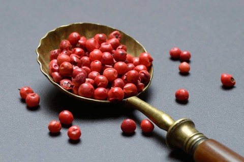 Pink Pepper berries, Red Pepper in spoon, Schinus berries