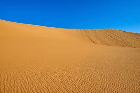 Wide sand dunes under a blue sky in the desert, Matruh, Great Sand Sea, Libyan Desert, Sahara,