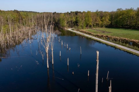 The nature reserve Kirchheller Heide, the Pfingstsee, created by subsidence caused by coal mining,