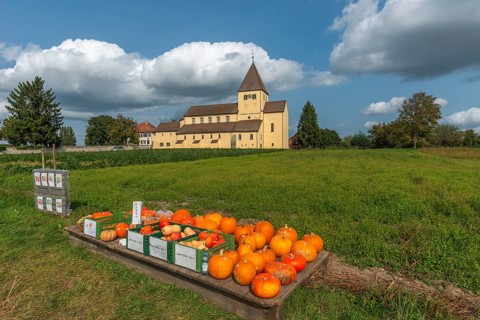 Oberzell, Reichenau Island, St. George's Parish Church, UNESCO World Heritage Site, pumpkin sale,