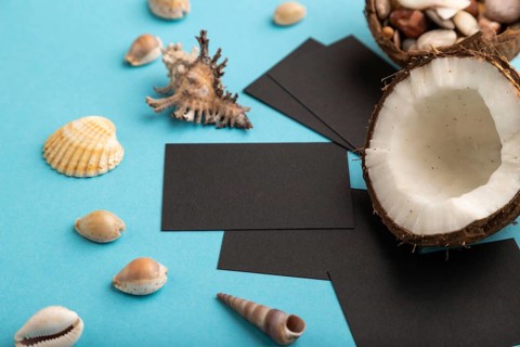 Black paper business card with coconut and seashells on blue pastel background. Side view, copy
