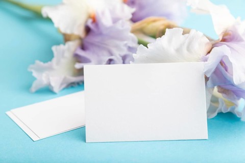 White business card with lilac iris flowers on blue pastel background. side view, copy space, still