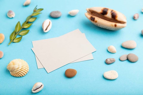 Composition with gray paper business cards, seashells, green boxwood. mockup on blue pastel