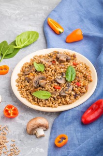 Spelt (dinkel wheat) porridge with vegetables and mushrooms on ceramic plate on a gray concrete