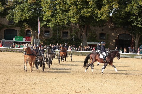 Warendorf State Stud, Stallion Parade, Apprentice Show