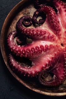 Boiled octopus, close-up, rustic style, no people, top view, close-up