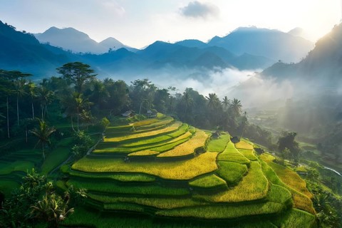 Early morning light bathes Philippines rice terraces cascading down mountain slopes, AI generated
