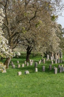 Jewish cemetery, established 1734, last occupancy 1934, Hagenbach, Upper Franconia, Bavaria,