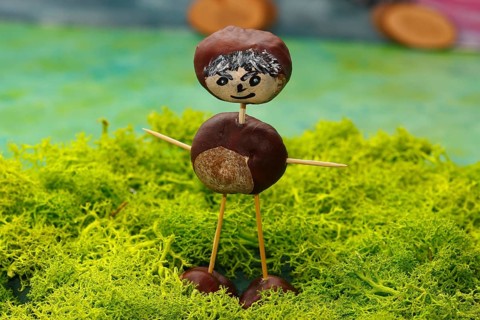 Chestnut figure standing on Iceland moss in the studio, North Rhine-Westphalia, Germany, Europe
